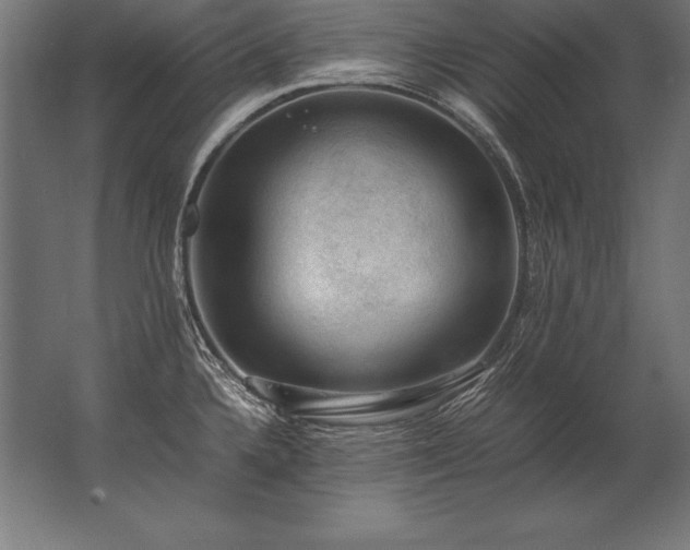 X0000062801336200512290238