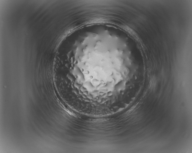 X0000062801337200512290238