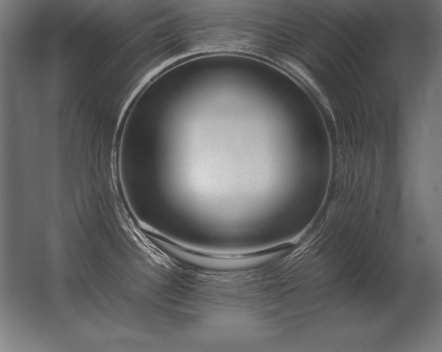 X0000062801340200512290239