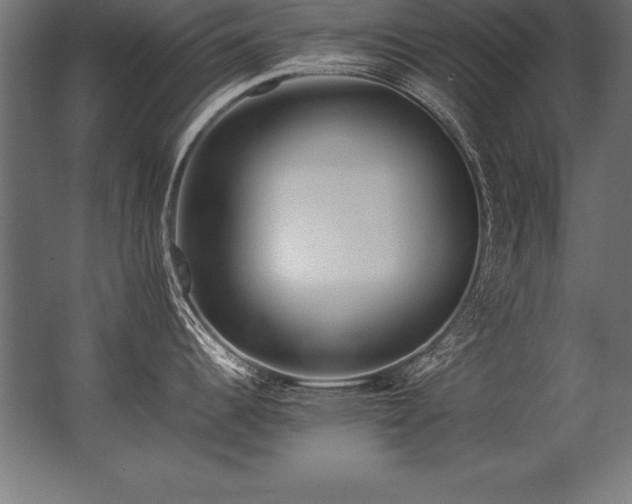 X0000062801344200512290239