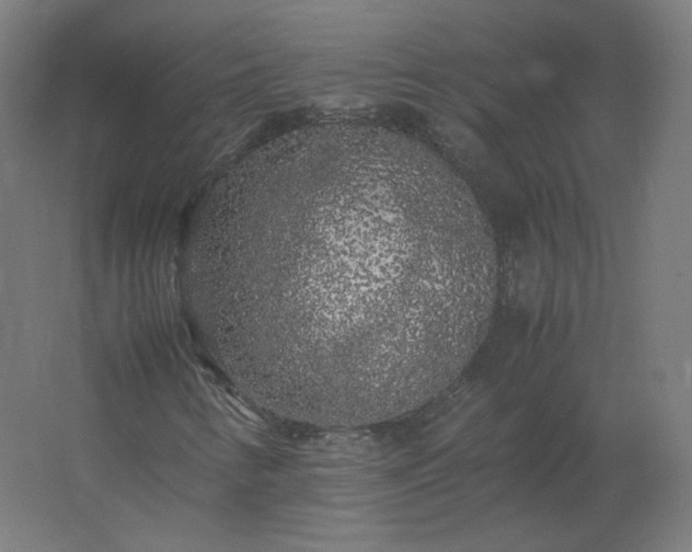 X0000062801346200512290238