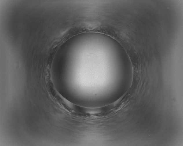 X0000062801349200512290238
