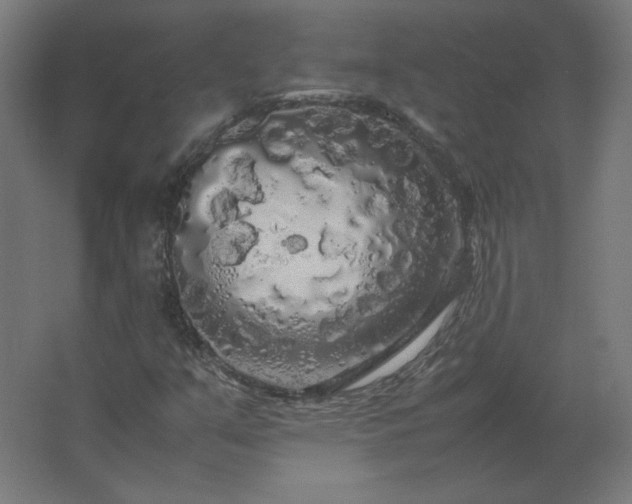 X0000062801351200512290238