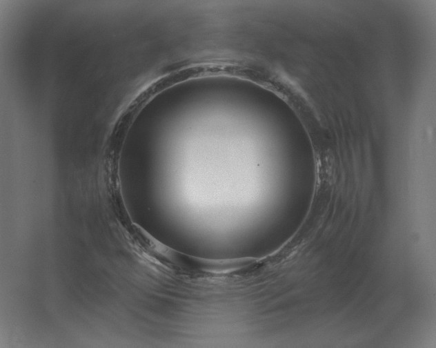 X0000062801352200512290238
