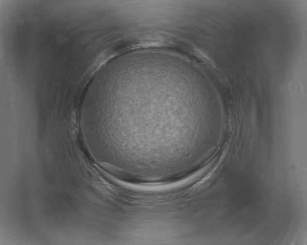 X0000062801353200512290238