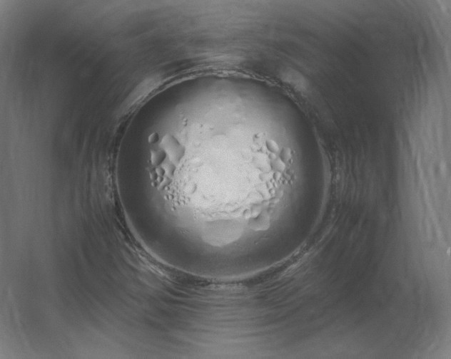 X0000062801354200512290238