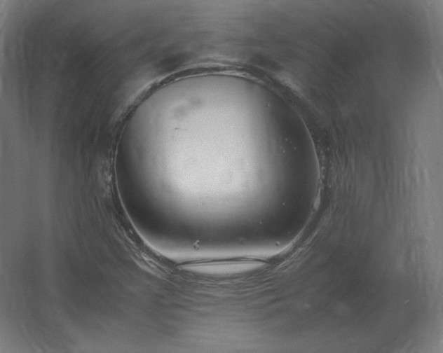 X0000062801355200512290238