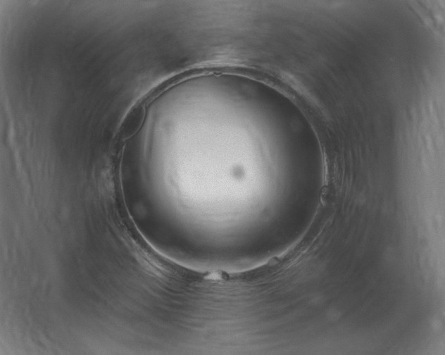 X0000062801356200512290238