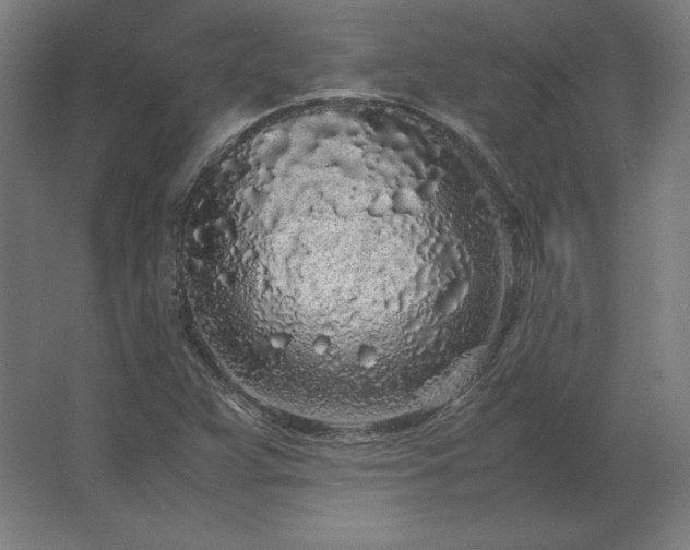 X0000062801359200512290238