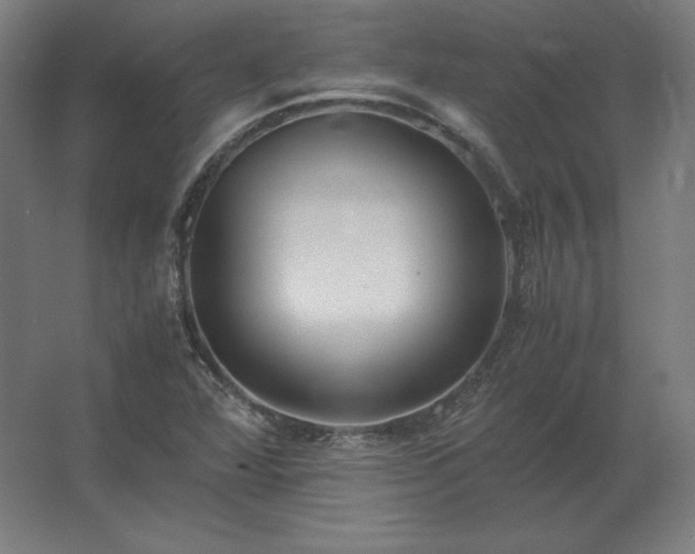 X0000062801360200512290238