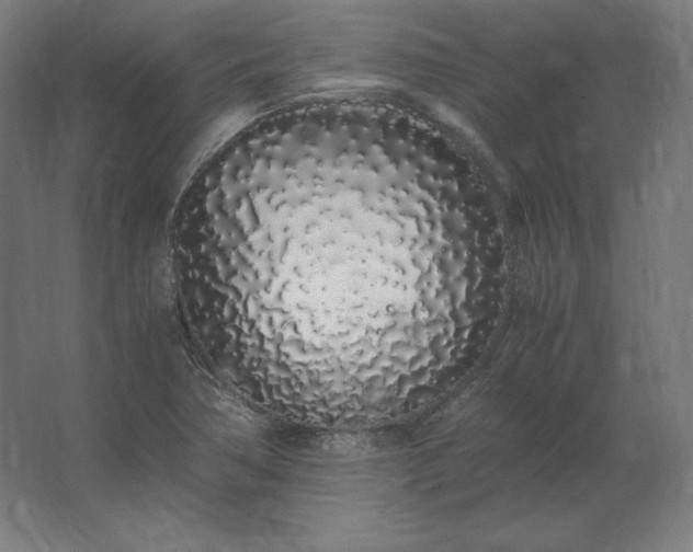 X0000062801362200512290237