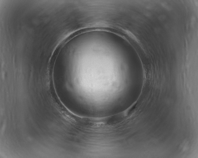 X0000062801364200512290237