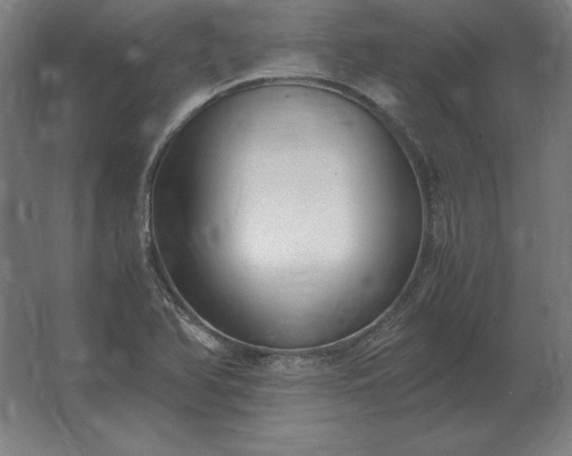 X0000062801366200512290237