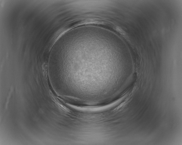 X0000062801369200512290237