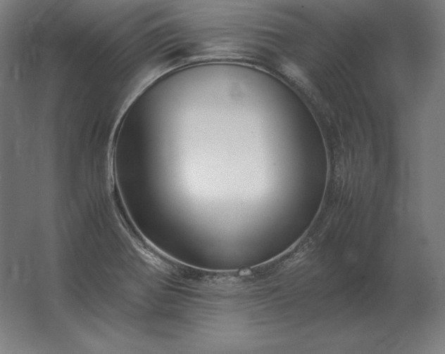X0000062801370200512290237