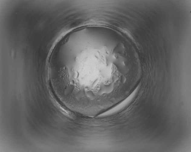 X0000062801371200512290237