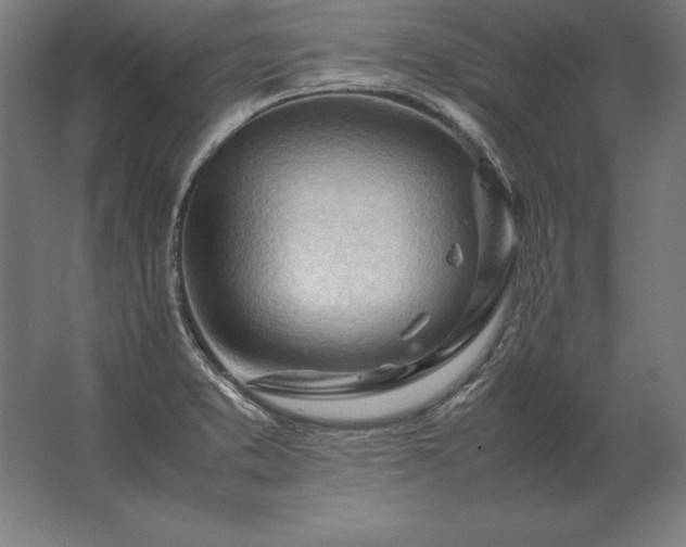 X0000062801373200512290237