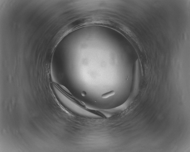 X0000062801377200512290237