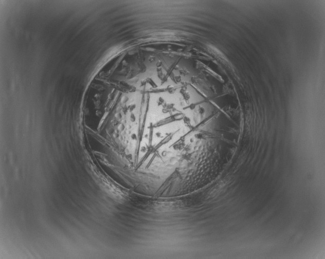 X0000062801378200512290237