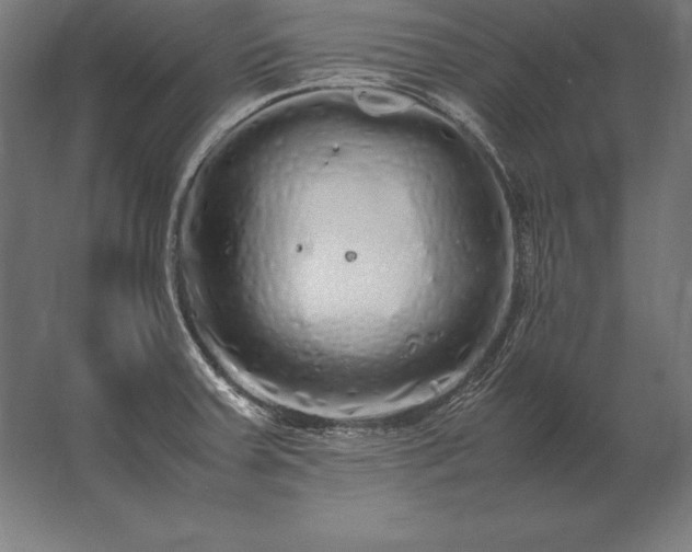 X0000062801379200512290237