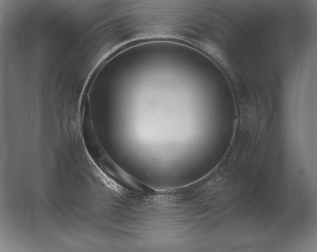 X0000062801380200512290237