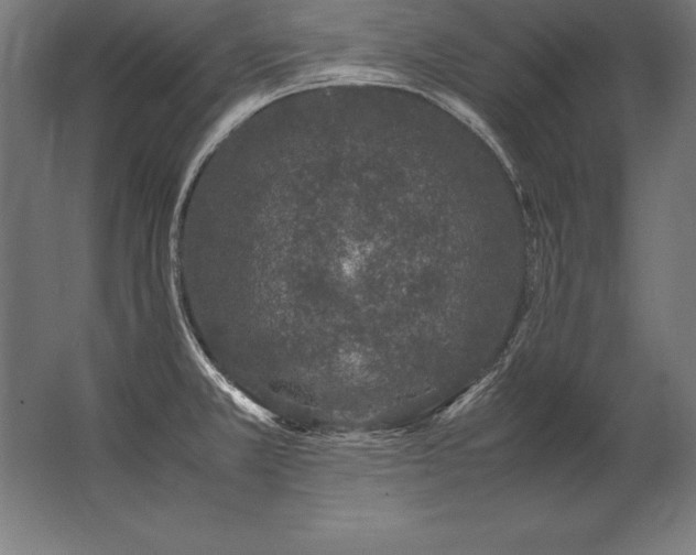 X0000062801381200512290237