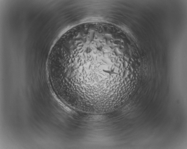 X0000062801382200512290237