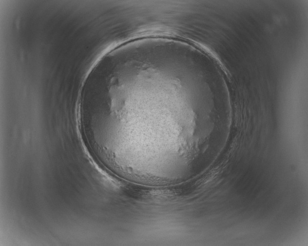 X0000062801383200512290237