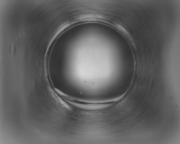 X0000062801384200512290237