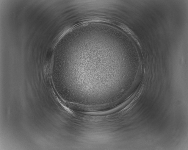 X0000062801385200512290237