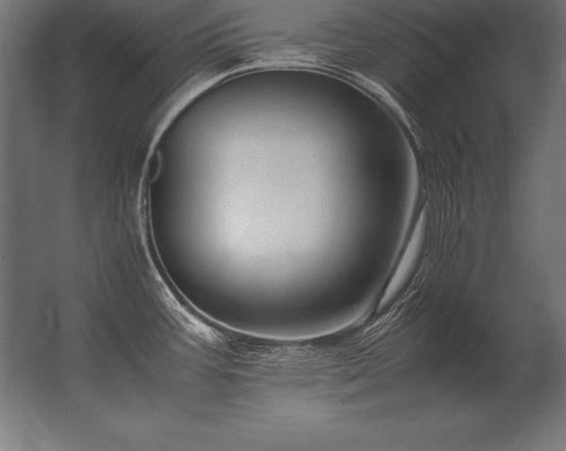 X0000062801387200512290237
