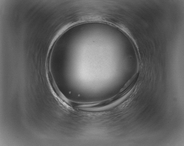 X0000062801389200512290237