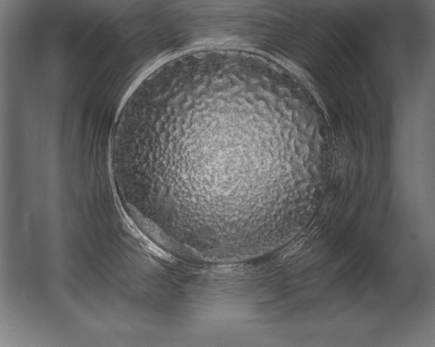 X0000062801390200512290237