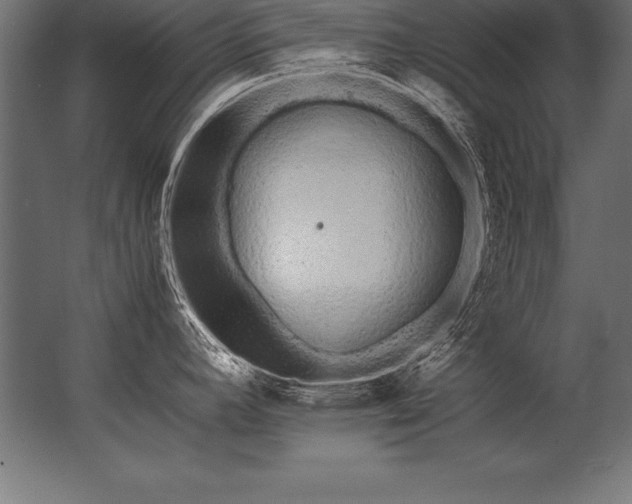 X0000062801392200512290237