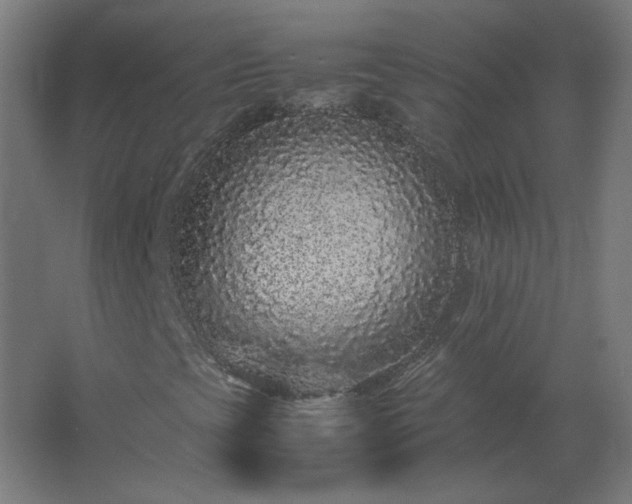 X0000062801393200512290236