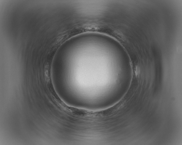 X0000062801396200512290236