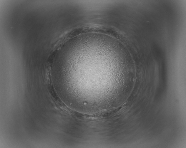 X0000062801397200512290236