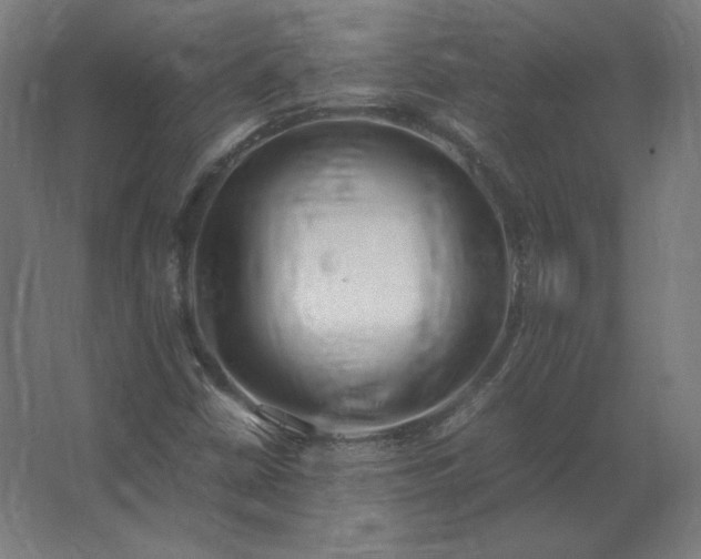 X0000062801402200512290236