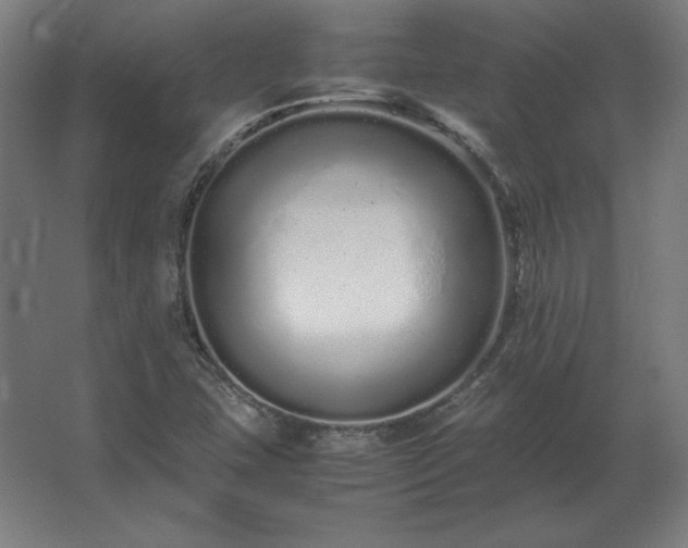 X0000062801407200512290236