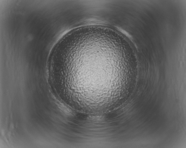 X0000062801415200512290237