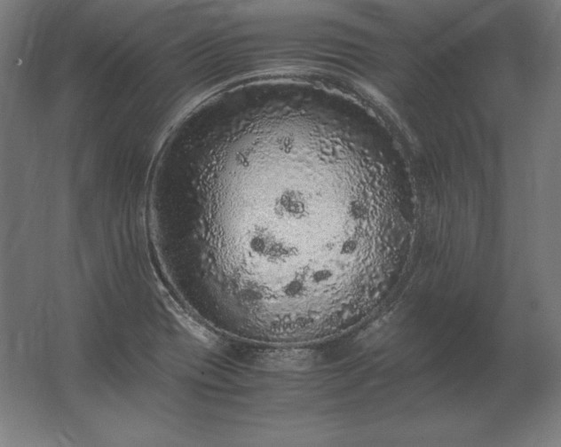 X0000062801417200512290237