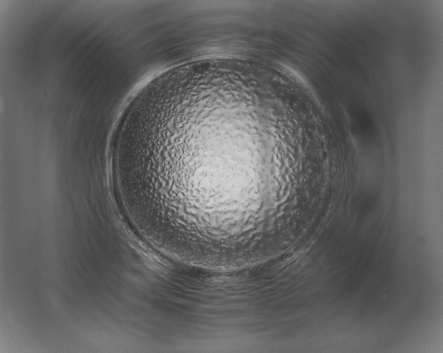 X0000062801419200512290237