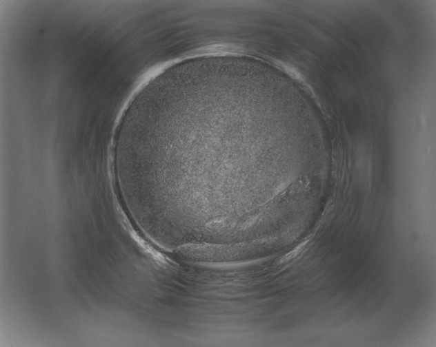 X0000062801421200512290237