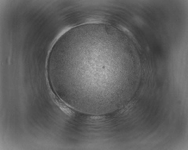 X0000062801427200512290237