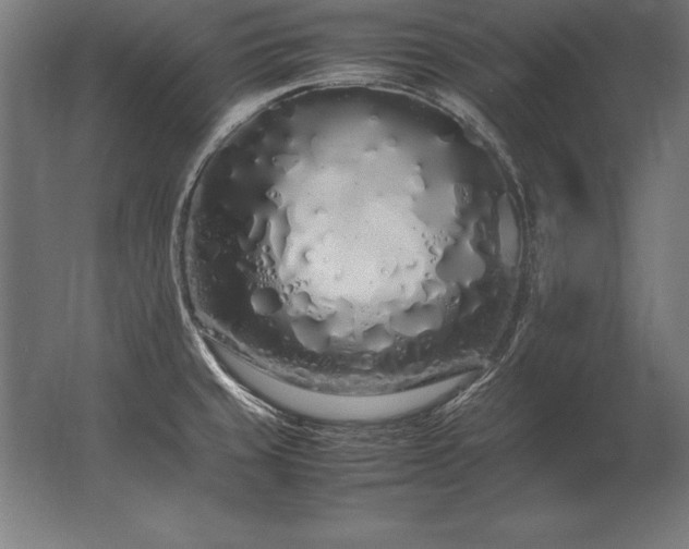 X0000062801429200512290237