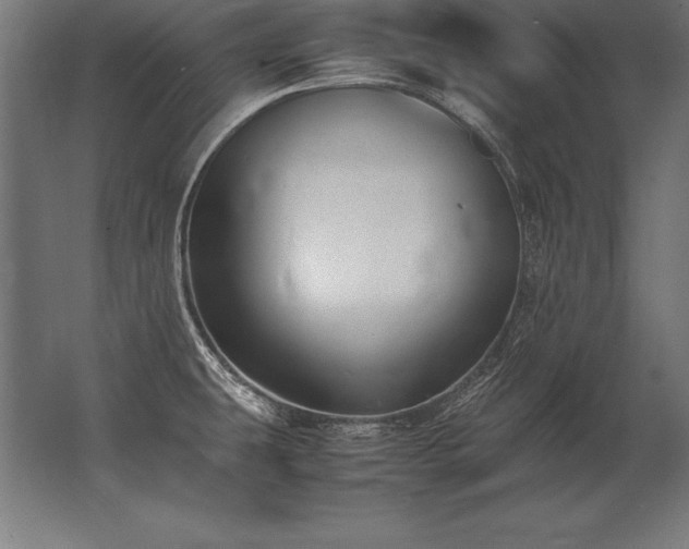 X0000062801431200512290237