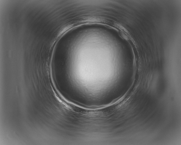 X0000062801433200512290237