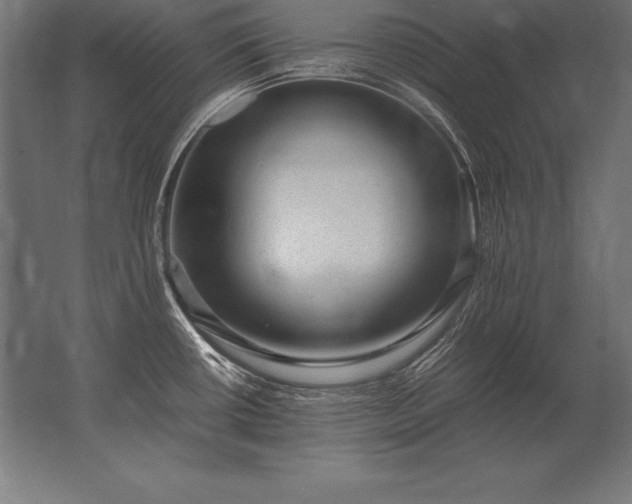 X0000062801434200512290237