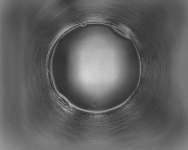 X0000062801435200512290237