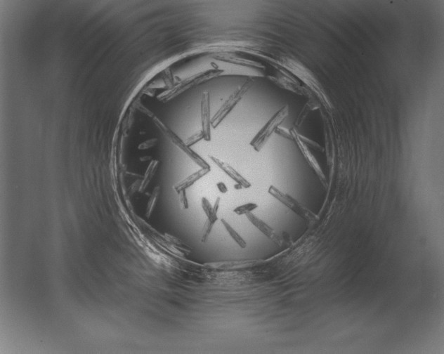 X0000062801436200512290237